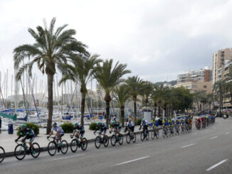 Peloton wielrenners tijdens de wielerronde op Mallorca