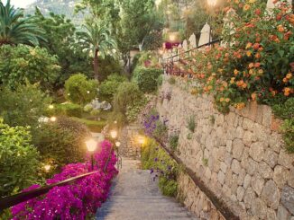 Tuin en toegangstrap van hotel Es Molí in Deià met mediterrane beplanting