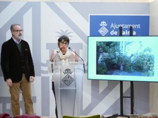 Persconferentie van het stadsbestuur van Palma over de verwijdering van bellasombra-bomen op plaza Llorenç Villalonga