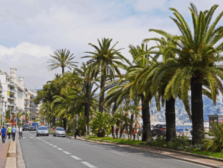Paseo Marítimo in Palma, waar een fietser werd aangereden door een vrachtwagen